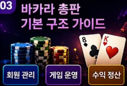 바카라 총판 기본 구조 가이드 이미지